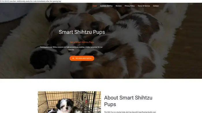 Screenshot of