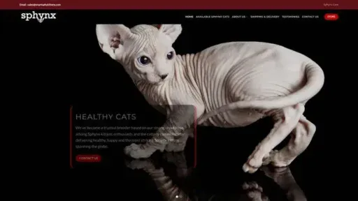 Screenshot of