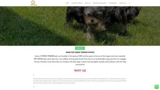 Screenshot of