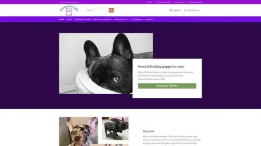 Screenshot of