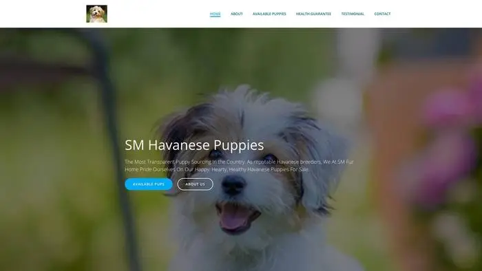 Screenshot of