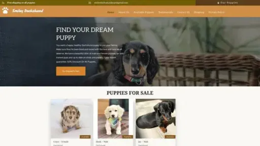 Screenshot of