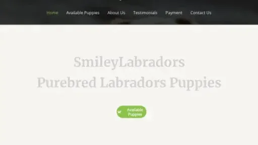 Screenshot of