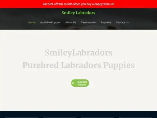Screenshot of