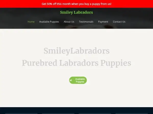 Screenshot of
