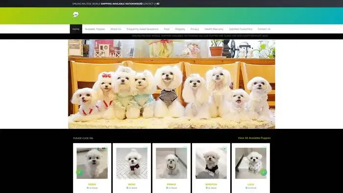 Screenshot of