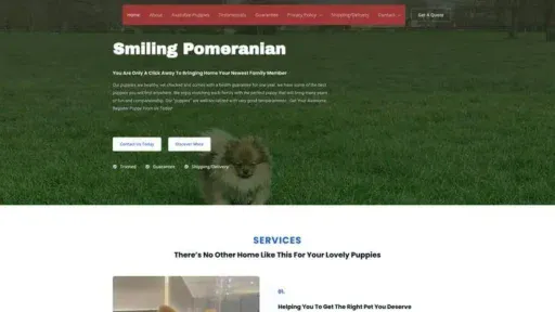 Screenshot of