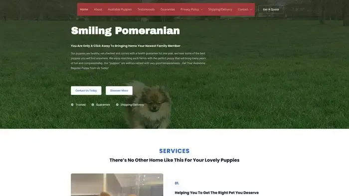 Screenshot of