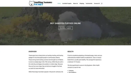 Screenshot of