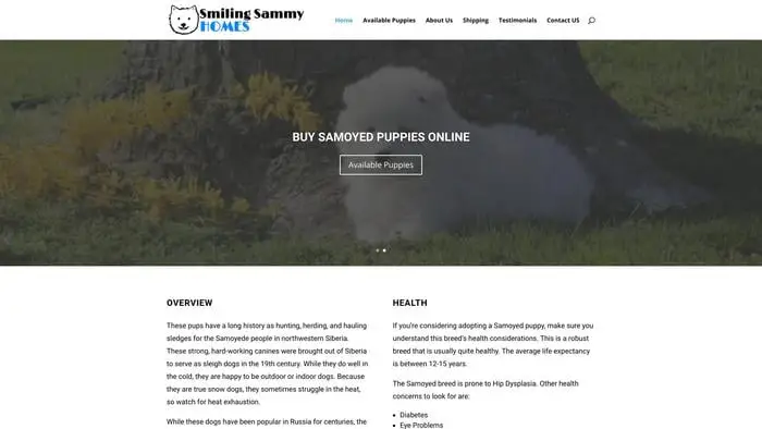 Screenshot of