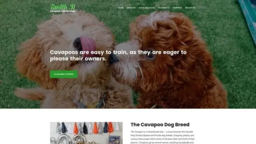 Screenshot of