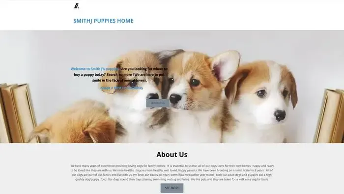 Screenshot of