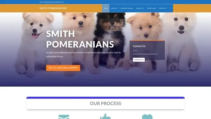 Screenshot of