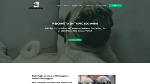 Screenshot of