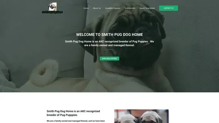Screenshot of