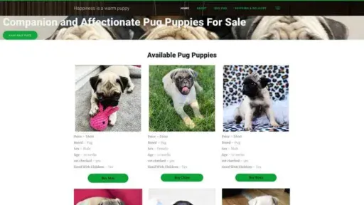 Screenshot of