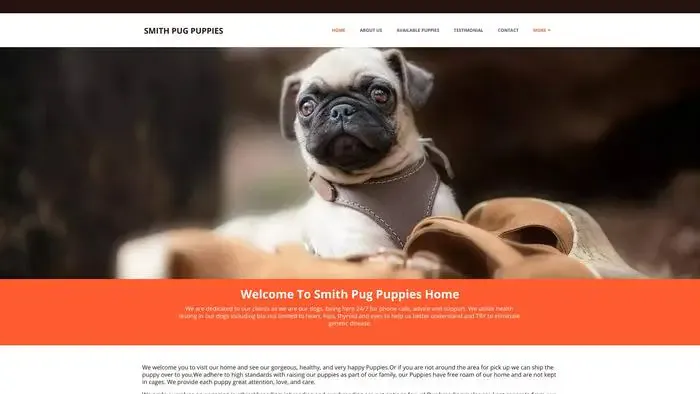 Screenshot of
