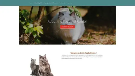 Screenshot of