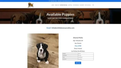 Screenshot of