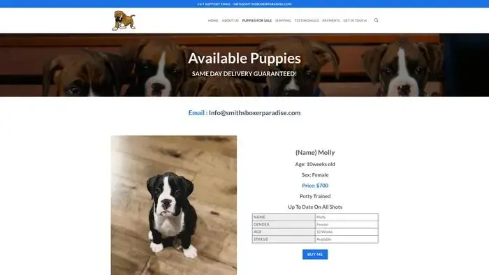 Screenshot of