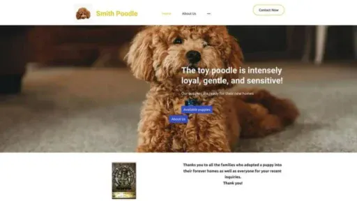 Screenshot of||