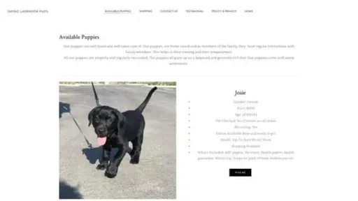 Screenshot of