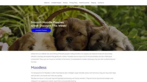 Screenshot of
