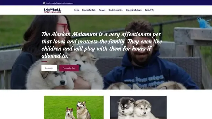 Screenshot of