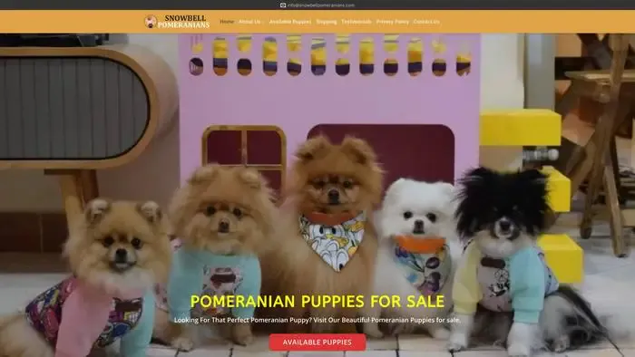 Screenshot of