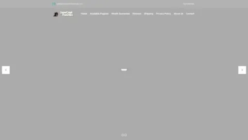 Screenshot of