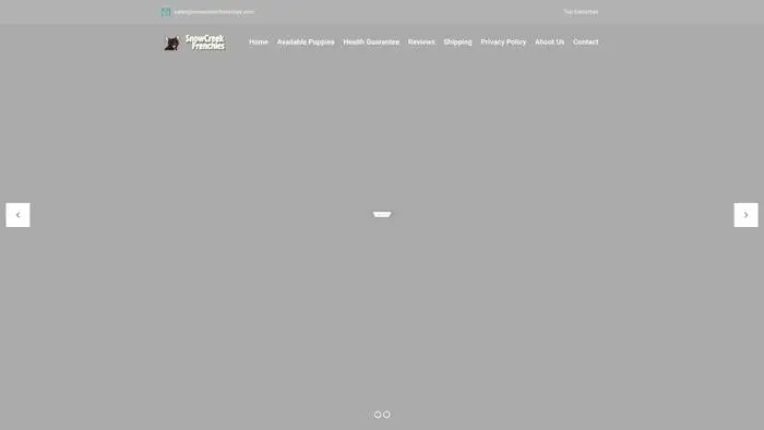 Screenshot of