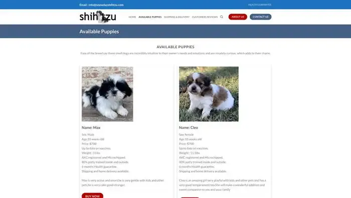 Screenshot of