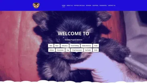 Screenshot of