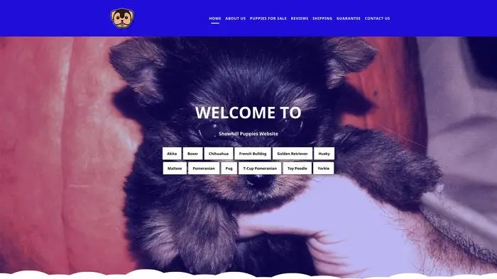 Screenshot of