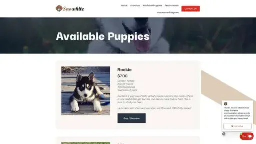 Screenshot of