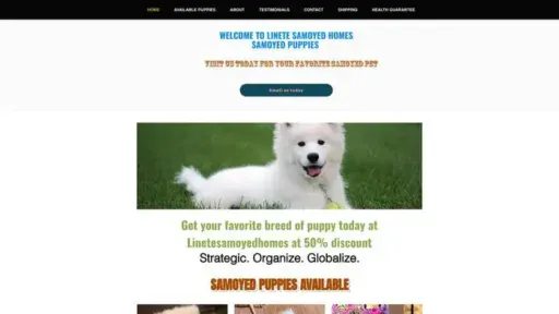 Screenshot of