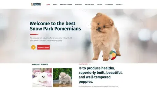 Screenshot of