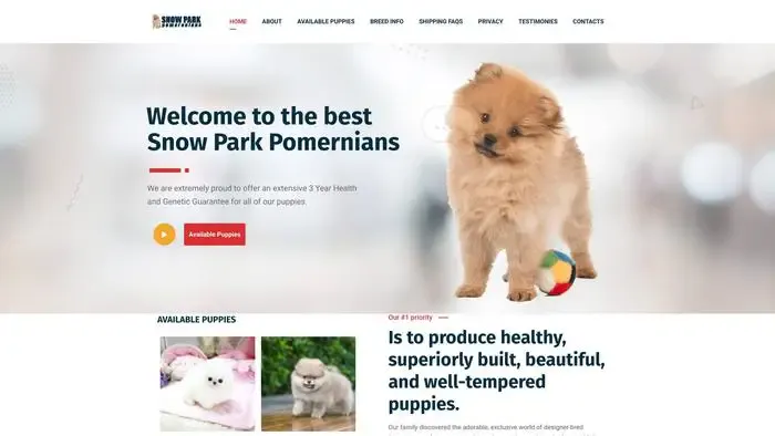 Screenshot of