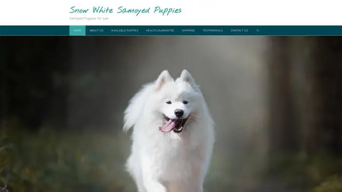 Screenshot of