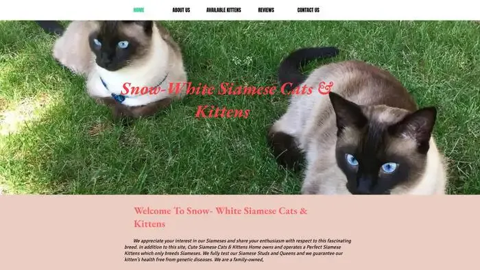 Screenshot of