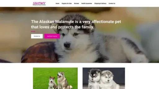 Screenshot of|