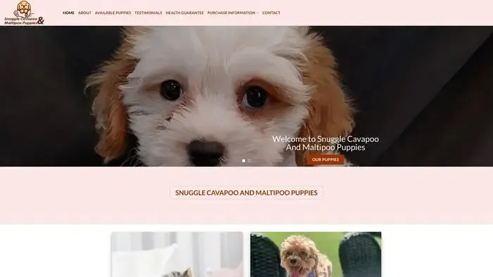 Screenshot of