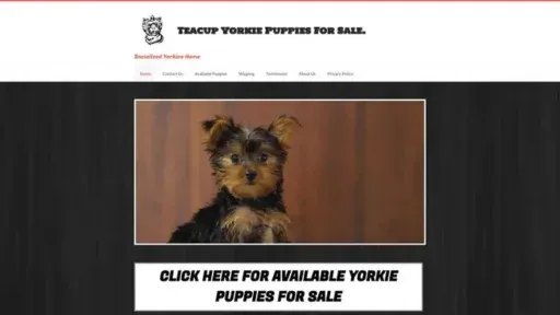Screenshot of