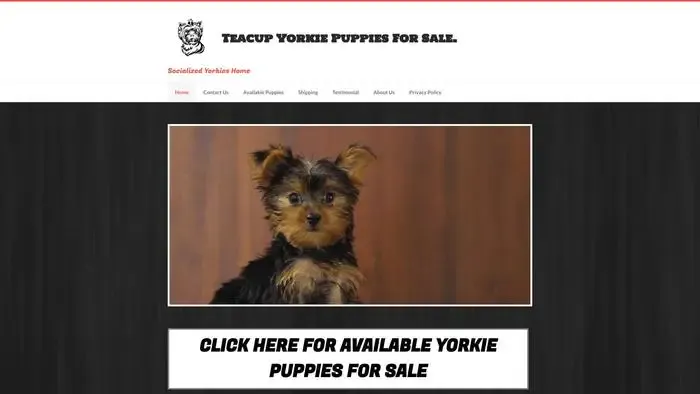 Screenshot of