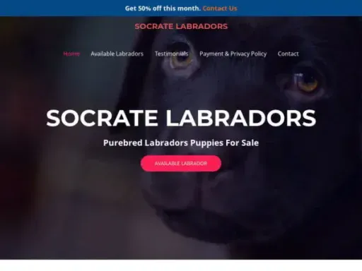 Screenshot of