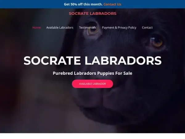 Screenshot of