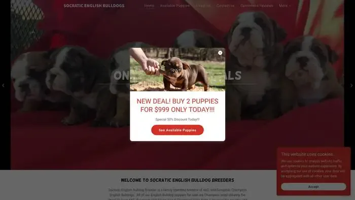 Screenshot of