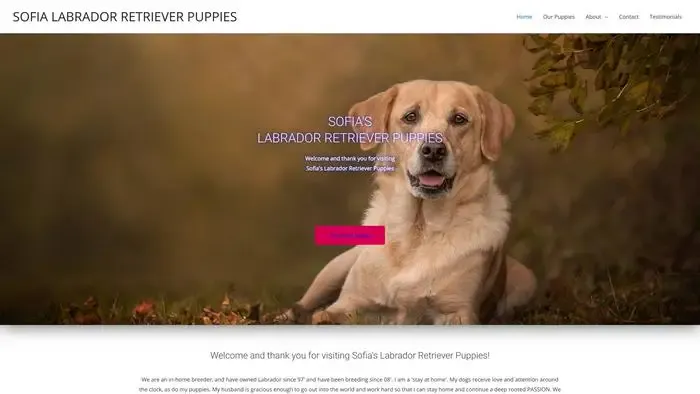 Screenshot of