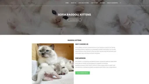 Screenshot of