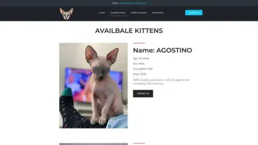 Screenshot of